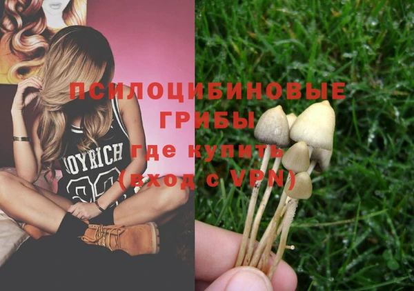 apvp Алзамай