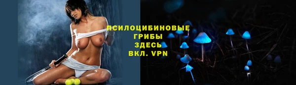 apvp Алзамай