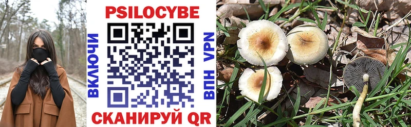 Псилоцибиновые грибы прущие грибы  Уфа 